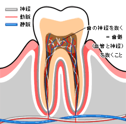 ★処方箋について★