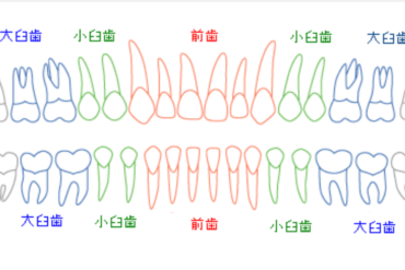 唾液の働き★