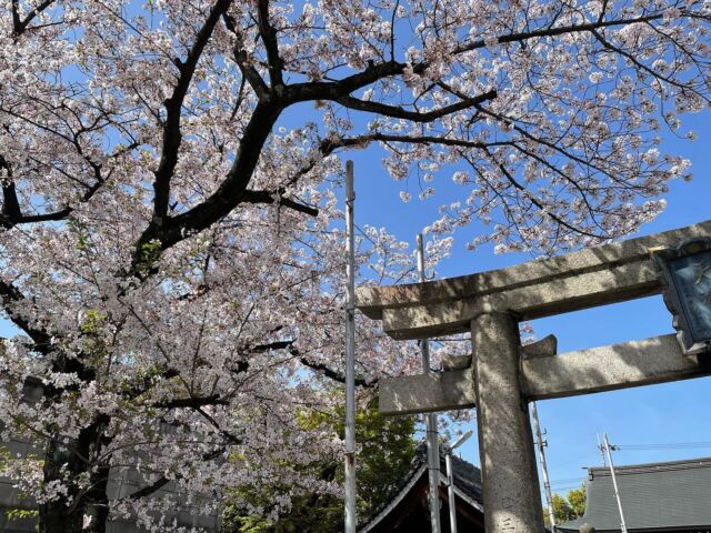 八尾市本町 近鉄八尾駅 近くの歯医者 森本歯科クリニック